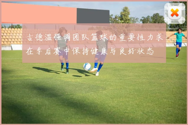 古德温强调团队篮球的重要性力求在季后赛中保持健康与良好状态